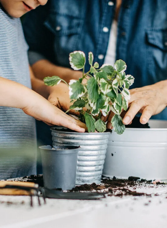 senior woman and her grandson work together to pot flowers into silver planters