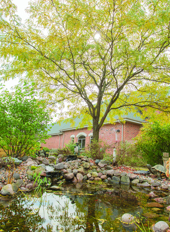 close-up of small pond, stones, and floral landscaping at Newcastle Place Senior Living Community