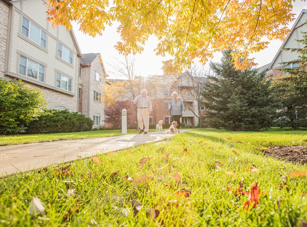 close-up of the grass and fall foliage near a walking path at Newcastle Place, with senior couple walking their dogs in the background